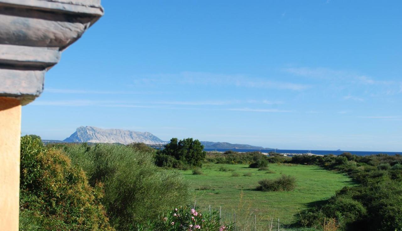 Residence Oasi E Oasi Blu سان تيودورو المظهر الخارجي الصورة